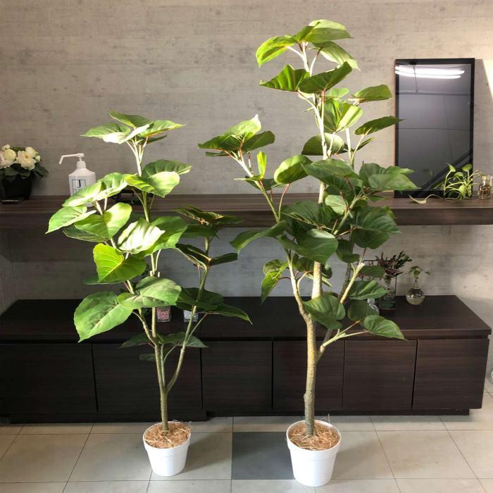 フェイクグリーン 観葉植物 フェイク 人工観葉植物_フィカス 