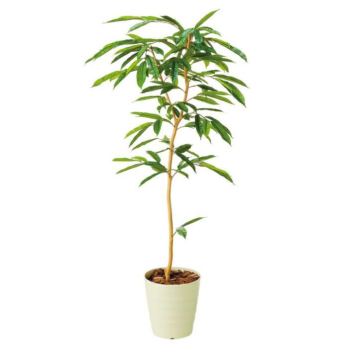 光触媒　人工観葉植物　ウォールグリーン　フェイクグリーン　アムステルラバー 光触媒 光の楽園 Green Series フロアタイプ【インテリア 人工観葉植物