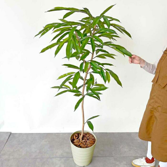 ストア・エキスプレス フェイクグリーン 大型 観葉植物 フェイク 人工