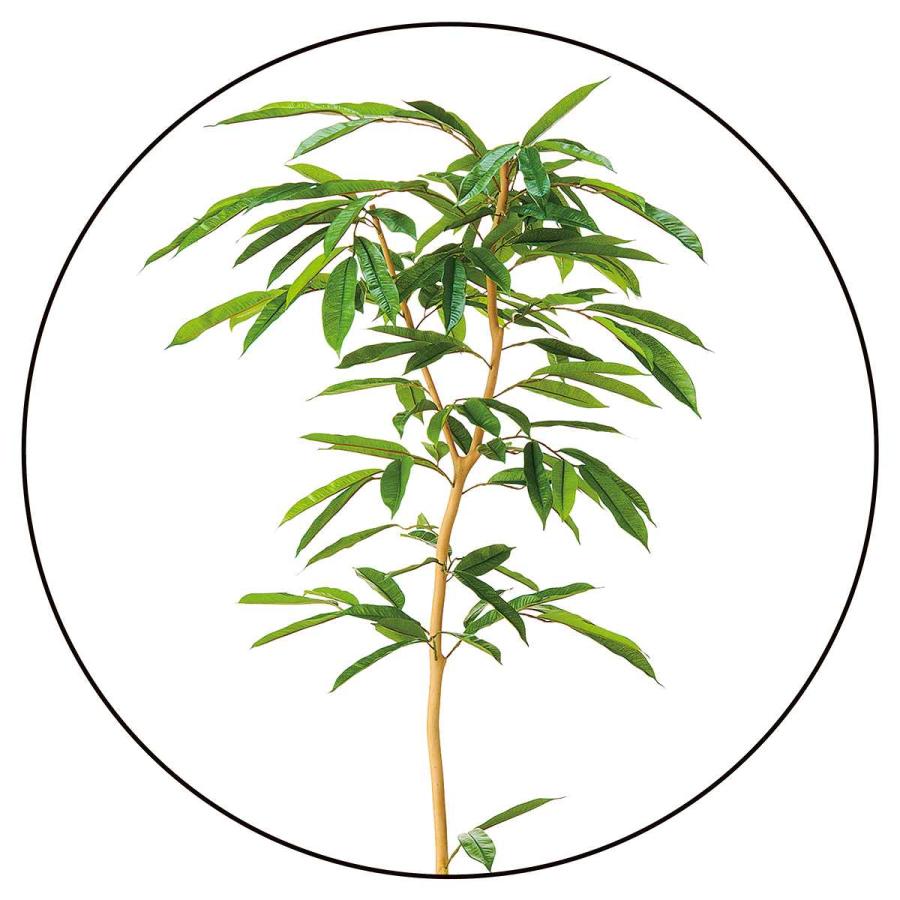 ストア・エキスプレス フェイクグリーン 大型 観葉植物 フェイク 人工