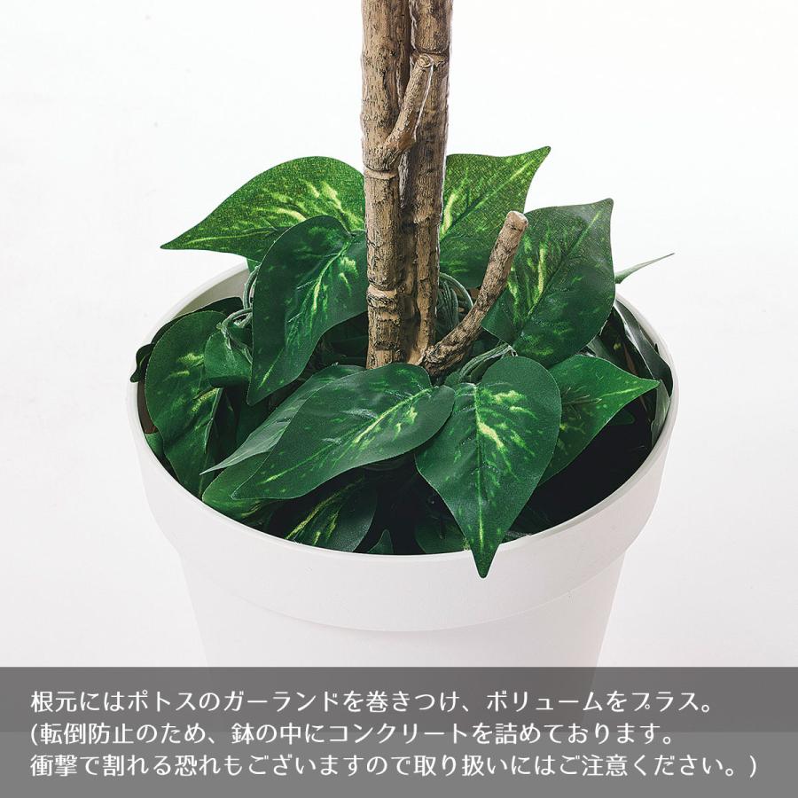 ストア・エキスプレス フェイクグリーン 大型 おしゃれ 人工観葉植物_
