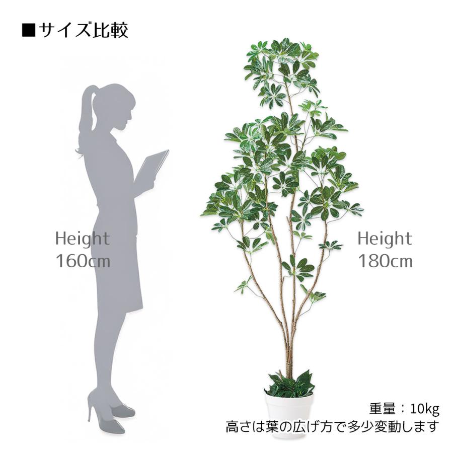 ストア・エキスプレス フェイクグリーン 大型 おしゃれ 人工観葉植物_