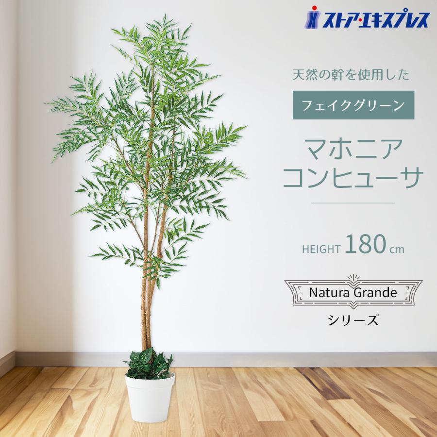 フェイクグリーン 大型 おしゃれ 人工観葉植物_【天然木使用】マホニアコンヒューサ 高さ180cm 1台_61-838-38-1_8724-3144（Yahoo!・ストア・エキスプレス-業務用店舗什器）