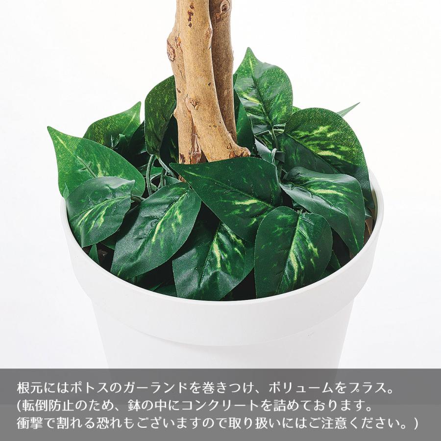 ストア・エキスプレス フェイクグリーン 大型 おしゃれ 人工観葉植物_