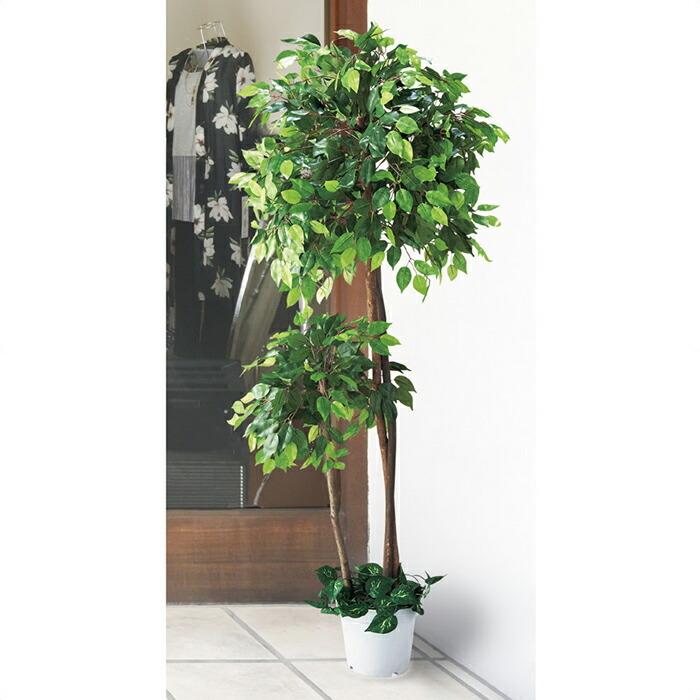 ストア・エキスプレス フェイクグリーン 観葉植物 フェイク 人工観葉