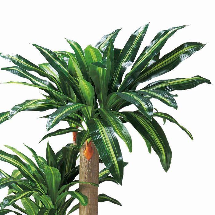 ストア・エキスプレス フェイクグリーン 観葉植物 フェイク 人工観葉
