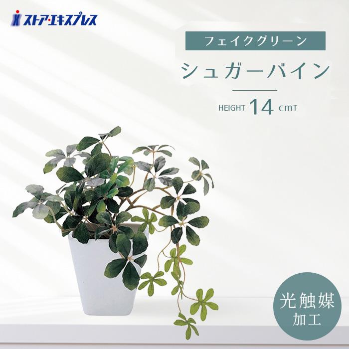 ストア・エキスプレス フェイクグリーン 消臭 観葉植物 フェイク 人工