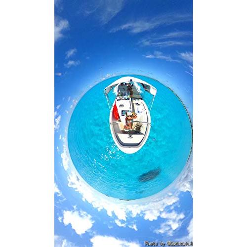 RICOH 360度カメラ THETA SC (ブルー) 全天球カメラ 910743 RICOH 360度カメラ THETA SC (ブルー) 全天球カメラ 910743