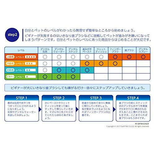 エブリデント しっかり歯ブラシ レギュラー｜store-hana｜03