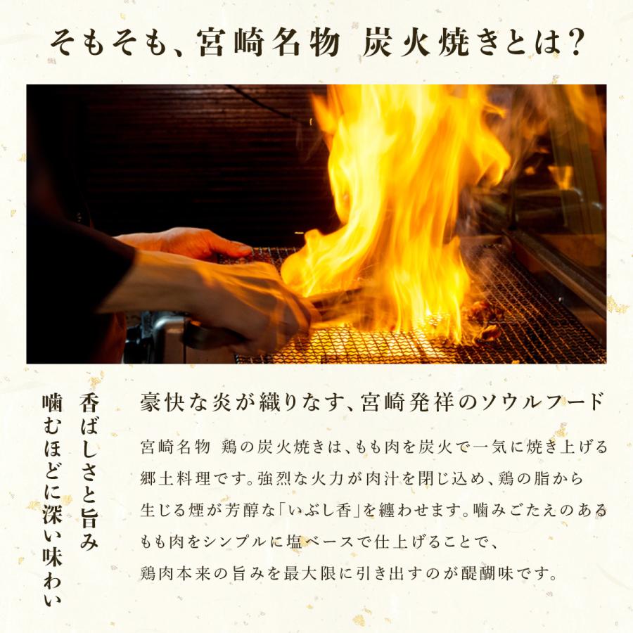 炭火焼 鶏の炭火焼き 国産親鶏 宮崎名物 もも炭火焼 100g×10袋 送料無料 冷凍便 湯煎 鶏 鳥 炭火焼き やきとり 焼鳥 焼き鳥  炭火焼き鳥 ギフト 絶品おつまみの画像