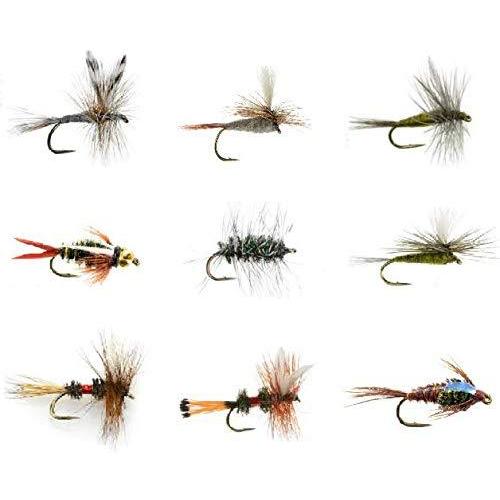 鼻の構造模型 フライフィッシング フライフィッシングフライ トラウト釣りやその他の淡水魚用 72種類の人気のド 未開封展示品 アウトドア 釣り 旅行用品 釣り Support Appslink Me Com