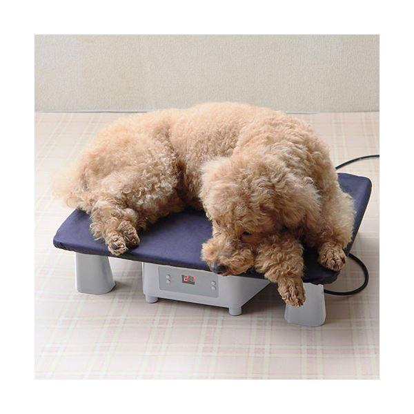 サンコー アニマル冷温プレート ペットコの間 PECLPLHWH PECLPLHWH サンコー アニマル冷温プレート ペットコの間