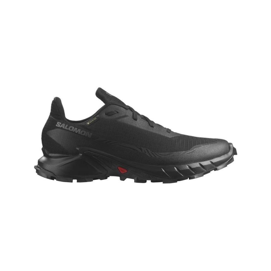 SALOMON（サロモン） SALOMON ALPHACROSS 5 GTX シューズ メンズ 