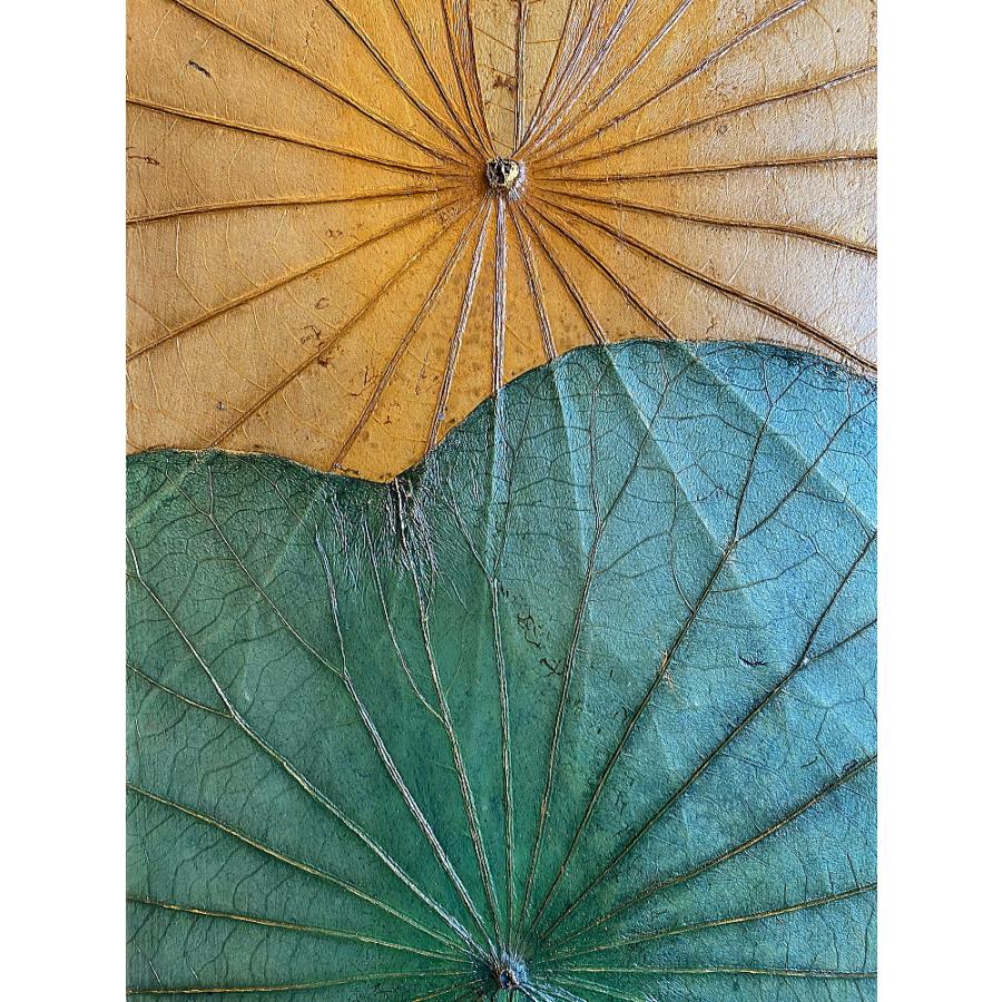 ロータスリーフアート 蓮の葉アート ロータス アートフレーム