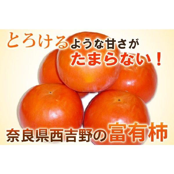 【送料無料】奈良県西吉野産　家庭用富有柿約３kg｜store-naratv