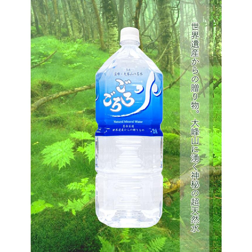 奈良 ミネラルウォーター 鉱泉水 安心・安全 大峰山の超名水「ごろごろ