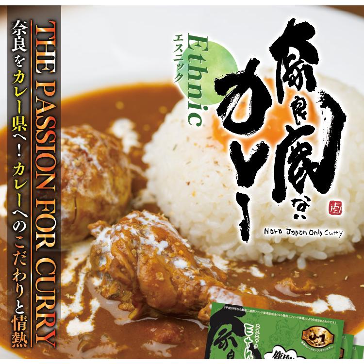 奈良鹿ないカレー　エスニック　旨辛口　220g×３個セット｜store-naratv｜02