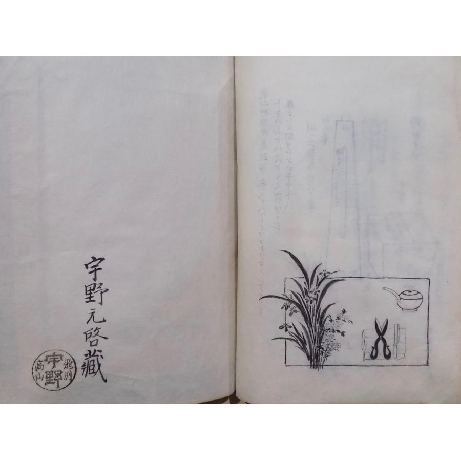 写本/去風流活花/「活花新活」/永埜某述/寛政4年筆写/岐阜 写本/去風流活花/「活花新活」/永埜某述/寛政4年筆写/岐阜