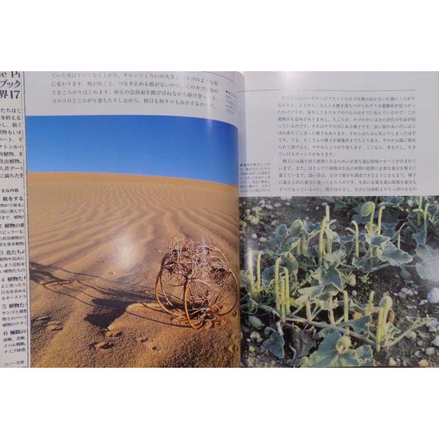 「植物の私生活」／デービッド・アッテンボロー著／門田裕一監修／手塚勲・小堀民恵訳／1998年／初版／山と渓谷社発行｜store-okushobo｜02