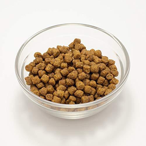 定番のお歳暮 冬ギフト プリンシプル ドッグフード パピー 幼犬 妊娠 授乳犬 800グラム X 3 Akamenomori Sakura Ne Jp