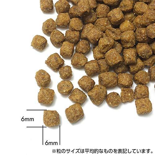 定番のお歳暮 冬ギフト プリンシプル ドッグフード パピー 幼犬 妊娠 授乳犬 800グラム X 3 Akamenomori Sakura Ne Jp