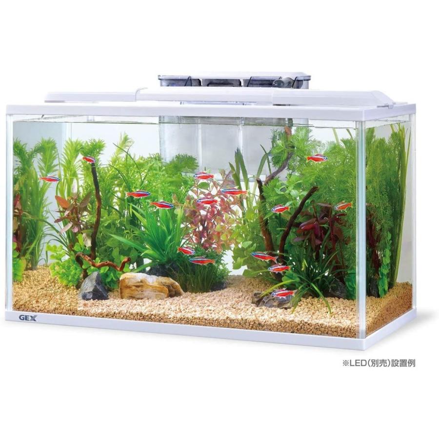 ジェックス New ペット用品 アクアリウム用品 熱帯魚 1cc ピュアw