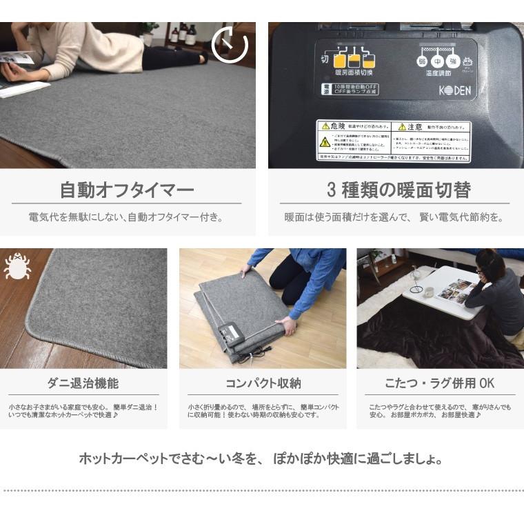 ホットカーペット 3畳 本体 ラグセット カバー付き 約176×235cm