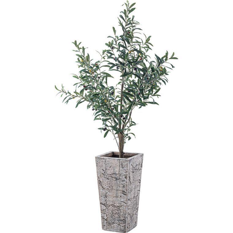 鉢カバー 観葉植物入れ グリーンベース W24×D24×H47 GRNB-206 ベース 入れ物 マグネシウム 北欧 おしゃれ_2