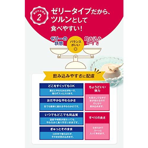 Nestle(ネスレ) アイソカル ゼリー ハイカロリー HC 66g×16個入 (8種×各2個セット) ハイカロリーゼリー 栄養補助食品 介護|store-ranunculus|04