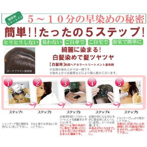 上質で快適 利尻昆布ヘアカラートリートメント白髪染め 0ｇ 3本 ブラック 全品送料無料 Nooitmeergrasmaaien Be