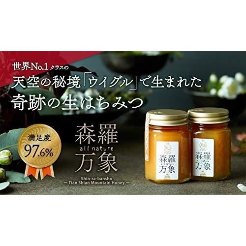 ふるまいマルシェ 森羅万象 はちみつ 非加熱 完熟 [ 酵素 無添加 オーガニック ギフト プレゼント お中元 お歳暮 健康 美容 ] 600g/1個_1