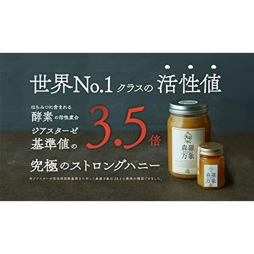 森羅万象 はちみつ 600g 非加熱 完熟 [ 酵素 無添加 ギフト プレゼント