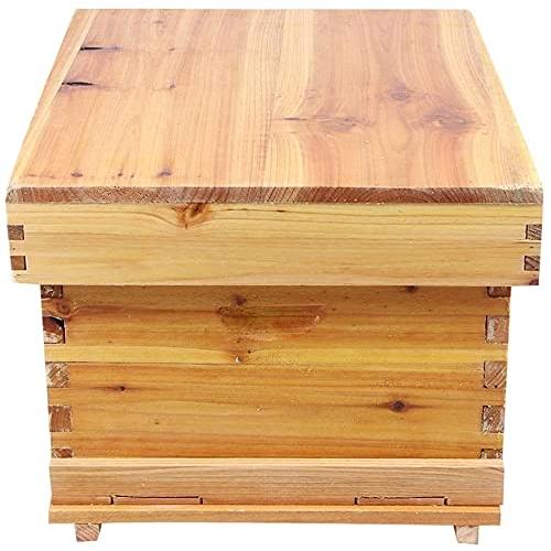 蜜蜂巣箱 養蜂箱 蜂蜜蜂の巣箱 蜂蜜キーパー蜂の巣の巣箱 非常に乾燥したひな蜂の巣箱デラックス蜂ハイブスターターキット養蜂用品約45 x 55 x 34cm ?防水 防湿｜store2byliu｜04