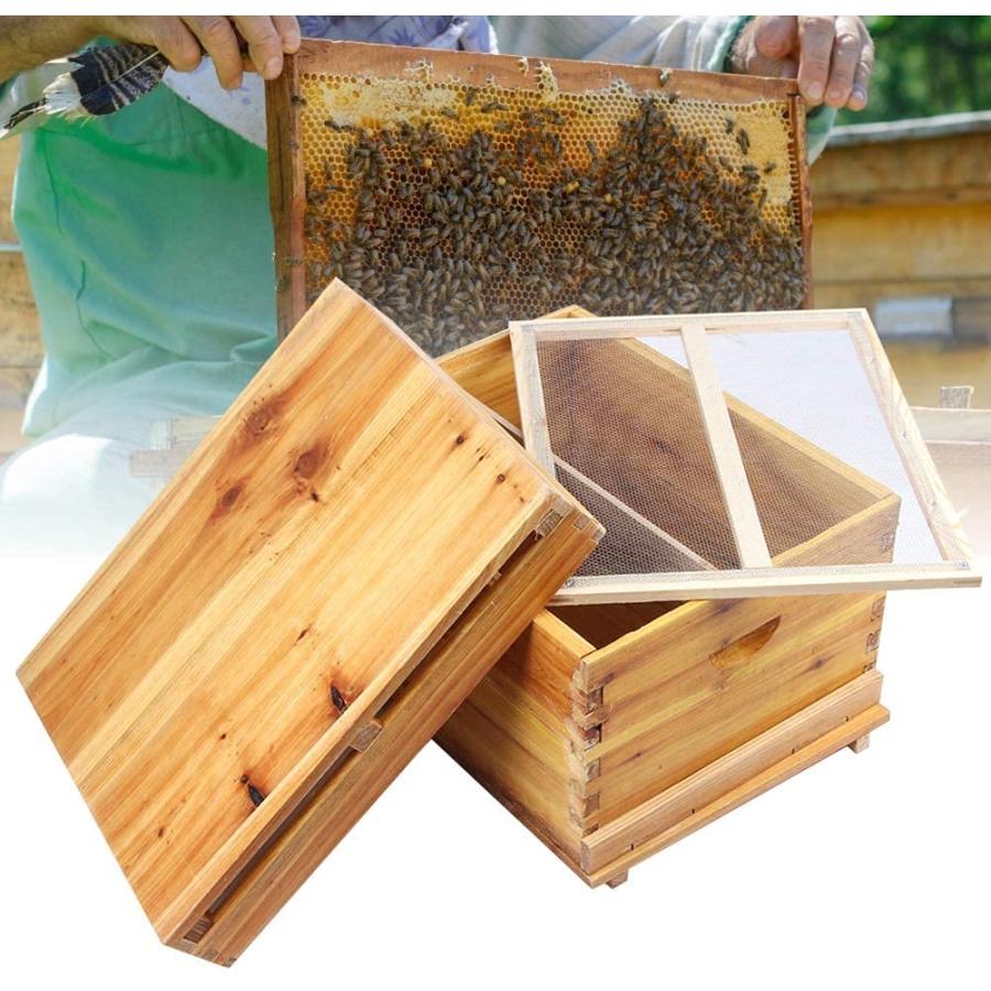 蜜蜂巣箱 養蜂箱 蜂蜜蜂の巣箱 蜂蜜キーパー蜂の巣の巣箱 非常に乾燥したひな蜂の巣箱デラックス蜂ハイブスターターキット養蜂用品約45 x 55 x 34cm ?防水 防湿｜store2byliu｜05