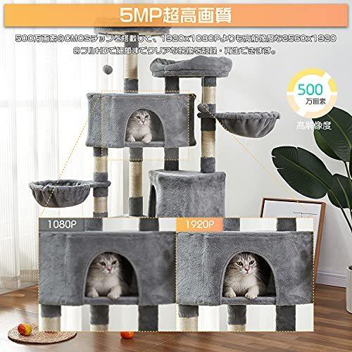 ディズニープリンセスのベビーグッズも大集合 500万画素 屋外 ワイヤレス 防犯カメラ 2台 音声 録音機能 Wifi ネットワークカメラ 屋外 監視 カメラ 無線 家庭用 ブルーレイ Dvdレコーダー Phanphrao Go Th