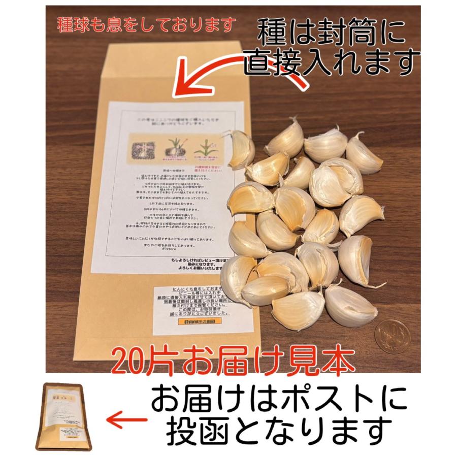 送料無料】【にんにく種球】【60片】 種 球根 少量販売 9月 10月 11月
