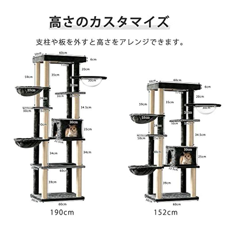lifesia キャットタワー 猫タワー 据え置き 透明宇宙船 爪とぎ 猫ハウス ハンモック2つ付き 多頭飼い 頑丈耐久 大型猫適用 安定性 キャットタワー 猫タワー 据え置き 透明宇宙船 爪とぎ 猫ハウス ハンモック2つ付き 多頭飼い 頑丈耐久 大型猫適用 安定性