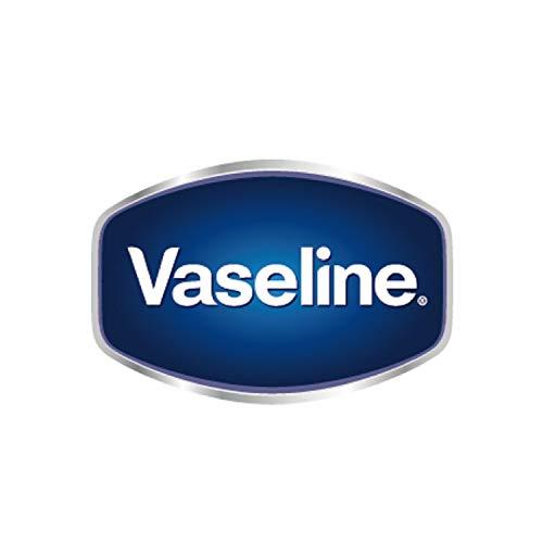 Vaseline(ヴァセリン) ヴァセリン モイスチャー ティント スカーレットレッド 3g リップクリーム｜storebambi｜05