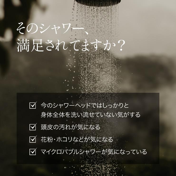 育毛サロン発 マイクロバブルシャワーヘッド バイオテック Sody ソディ シャワーヘッド 日本製 マイクロバブル ファインバブル 頭皮ケア 毛穴 節水 おうちケアの画像