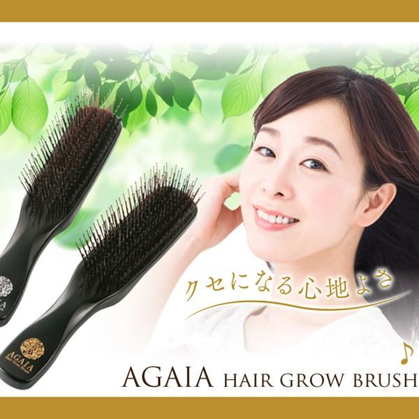 育毛サロン発 ヘアブラシ バイオテック アガイア ヘアグローブラシ 