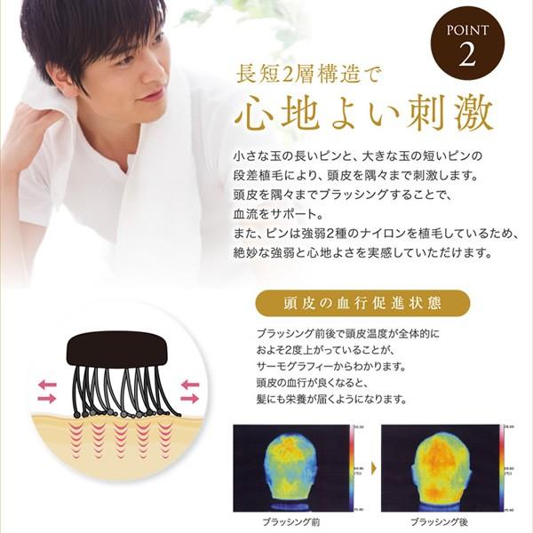 アガイア プラス バイオテック AGAIA PLUS 育毛 発毛