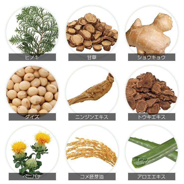 育毛サロン発 育毛剤 薬用 プレミアムボタニカル エクストラスカルプローション 300ml×3本 医薬部外品 日本製　育毛 養毛 抜け毛 発毛促進 薄毛 頭皮 産後脱毛 | ブランド登録なし | 04