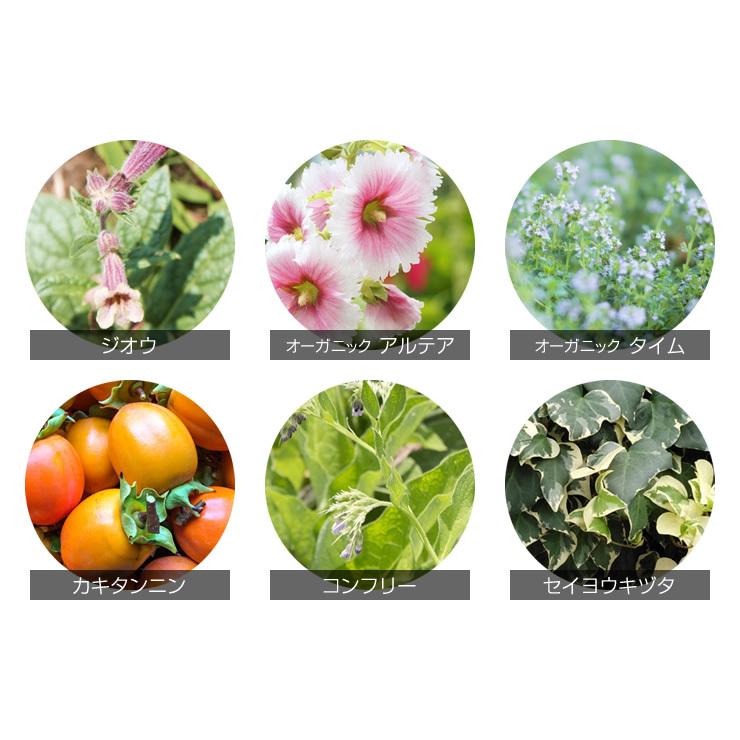 育毛サロン発 育毛剤 薬用 プレミアムボタニカル エクストラスカルプローション 300ml×3本 医薬部外品 日本製　育毛 養毛 抜け毛 発毛促進 薄毛 頭皮 産後脱毛 | ブランド登録なし | 06