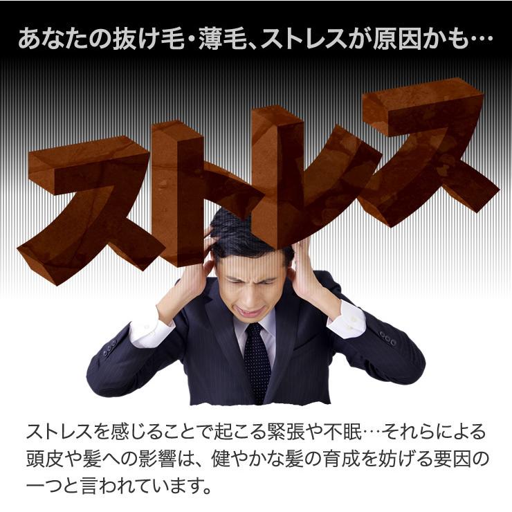 育毛サロン発 機能性表示食品 GABA・大豆イソフラボンサプリメント 