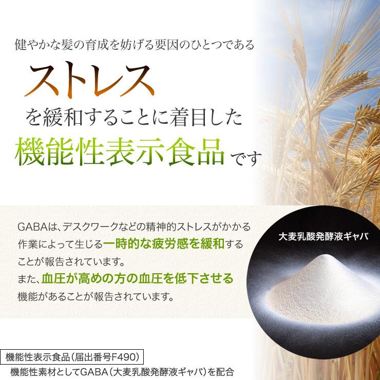 育毛サロン発 機能性表示食品　GABA・大豆イソフラボンサプリメント バイオテック プレミアム セレクト サプリメント 約1ヶ月分 日本製 | ブランド登録なし | 04