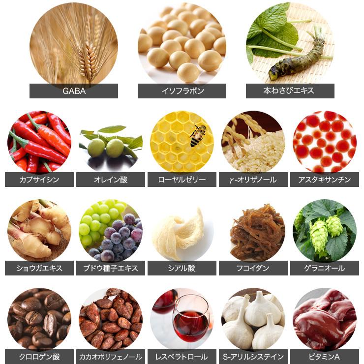 育毛サロン発 機能性表示食品　GABA・大豆イソフラボンサプリメント バイオテック プレミアム セレクト サプリメント 約1ヶ月分 日本製 | ブランド登録なし | 06