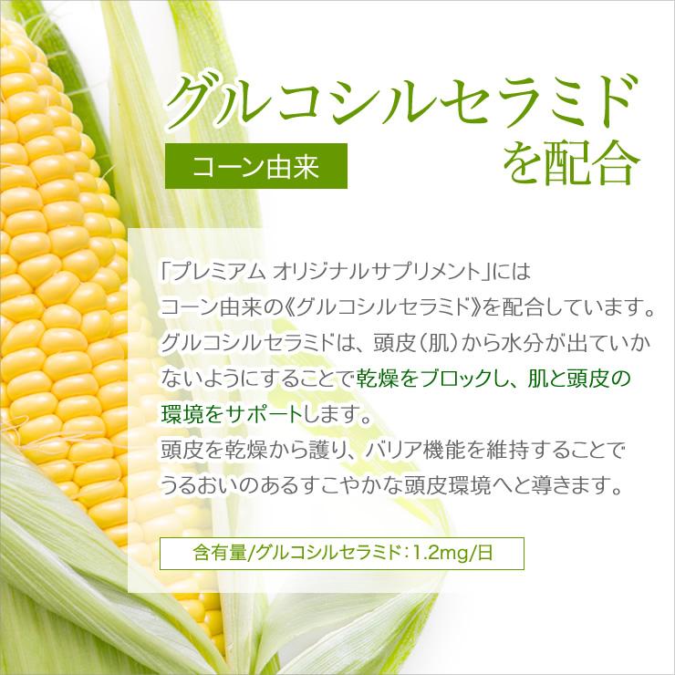 育毛サロン発 ノコギリヤシサプリメント バイオテック PREMIUM プレミアム オリジナルサプリメント 60粒 約1ヵ月分 日本製 | ブランド登録なし | 06