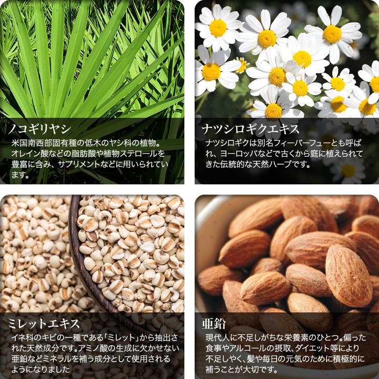 育毛サロン発 ノコギリヤシサプリメント バイオテック PREMIUM プレミアム オリジナルサプリメント 60粒 約1ヵ月分 日本製 | ブランド登録なし | 09