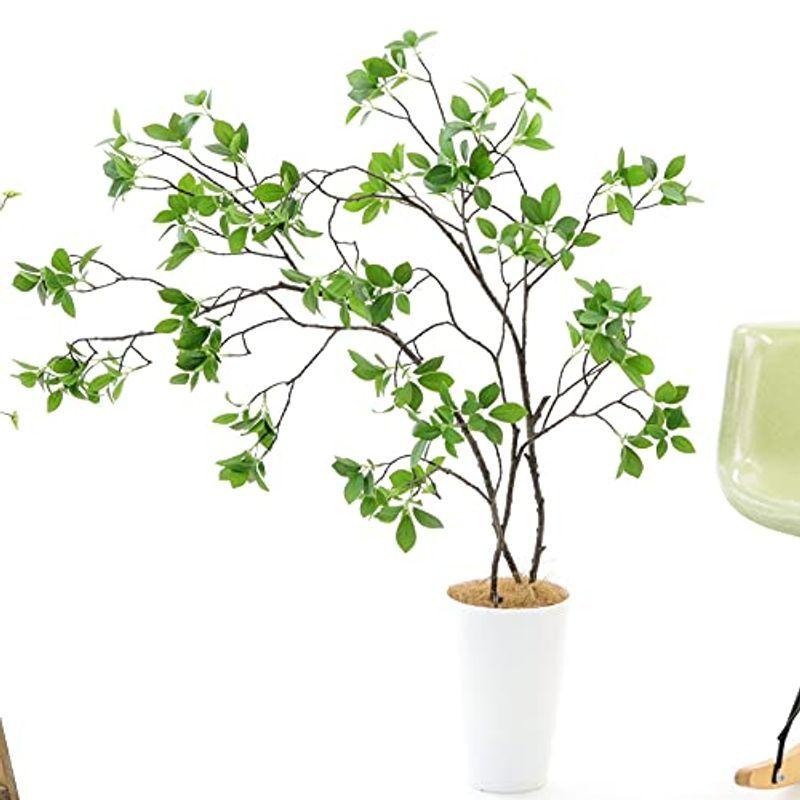 販売クーポン 光触媒 観葉植物 フェイクグリーン 造花 グリーン 人気 緑 初心者 空気清浄 おしゃれ 銀 大きめ 観葉樹 ドウダンツツジ 3本立 高さ1 Forest Store 通販 Yahoo ショッピング 安い売上 Clinicaaldente Es