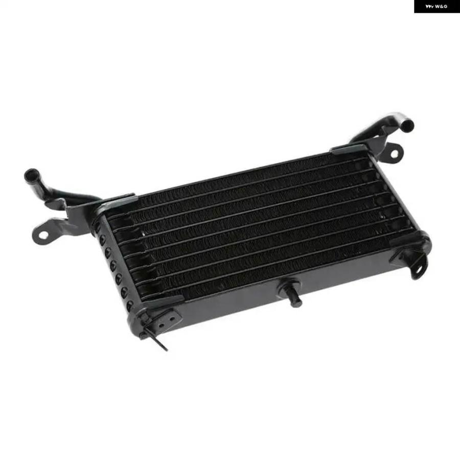 並行輸入品 BMW S1000RR 2009 2010 2011 2009-2011用 オートバイ アルミ オイルクーラー  カス_1